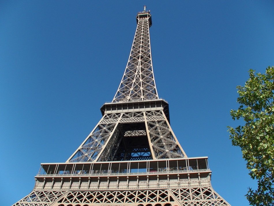 green tree near the eiffel tower under blue sky