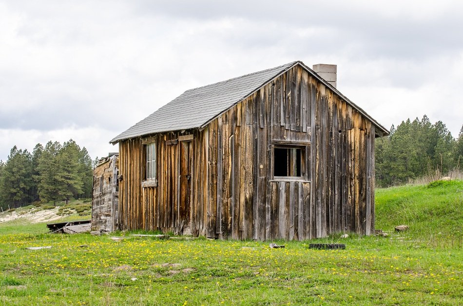 Village Log House