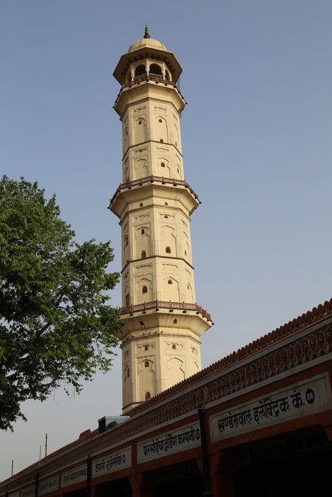 high tower sargasuli in india