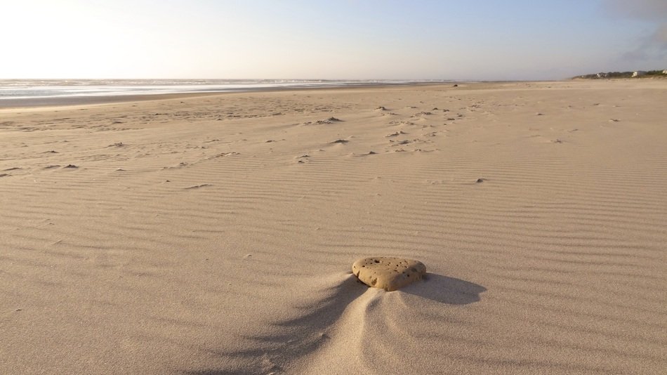 flat sand on a beach near waldport
