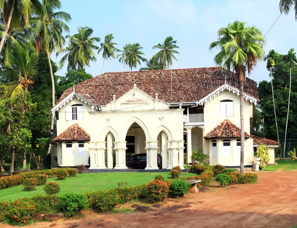 House Villa with Palma