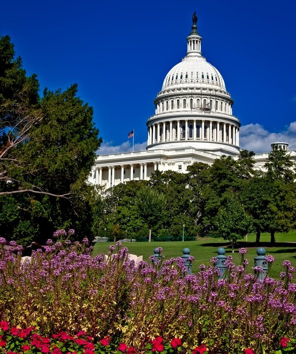 view from the picturesque park to the capitol