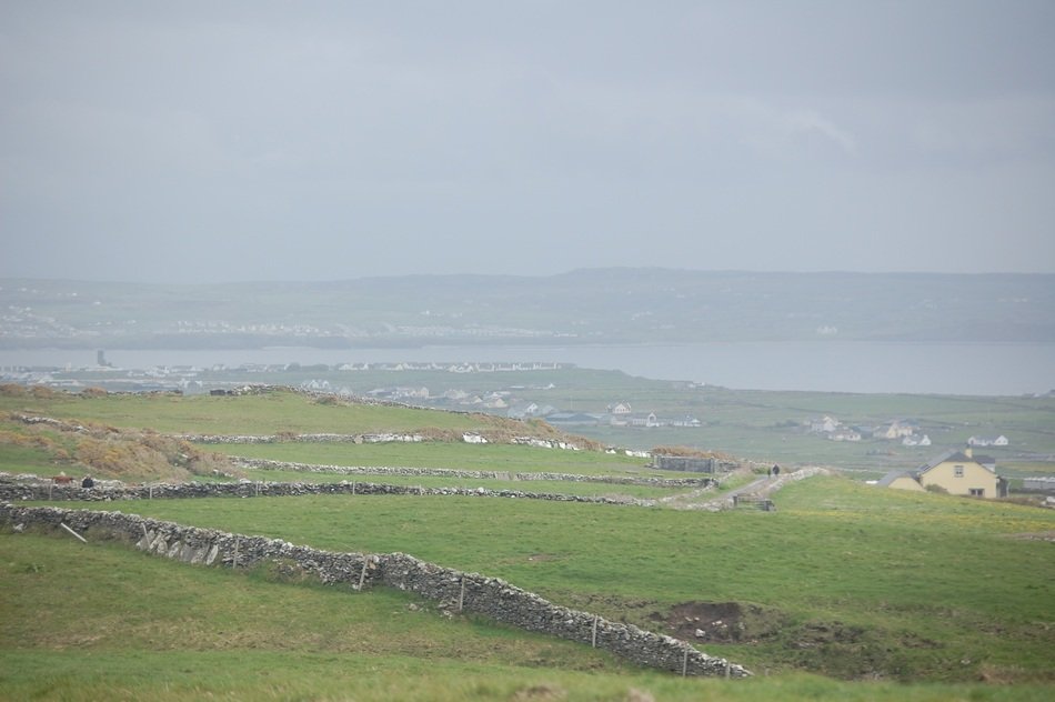 farm green pasture landscape