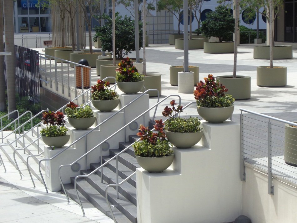red potted flowers on the stairs in miami