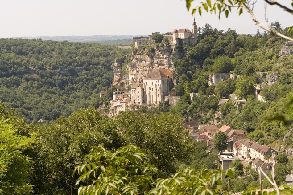 Middle Ages Forest