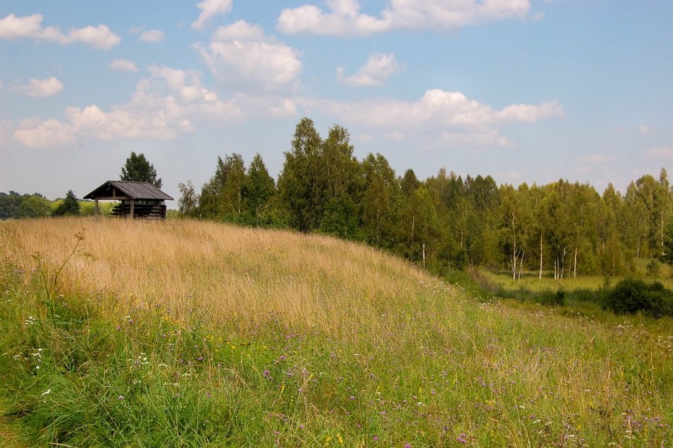 old bungalow on the meadow
