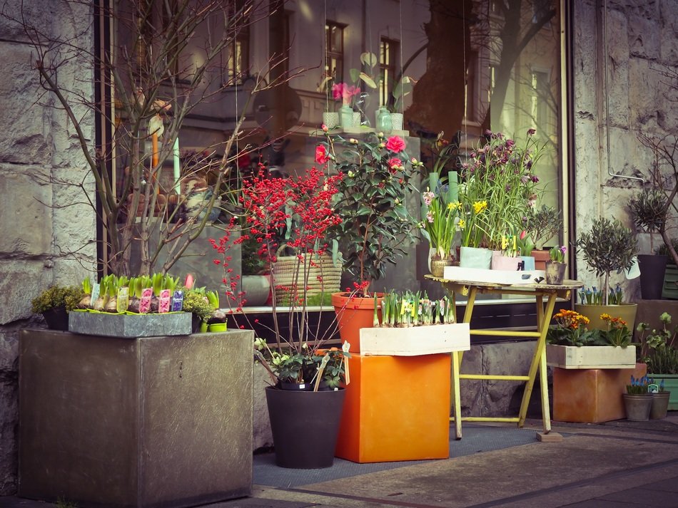 poted Flowers and plants at Shop on street