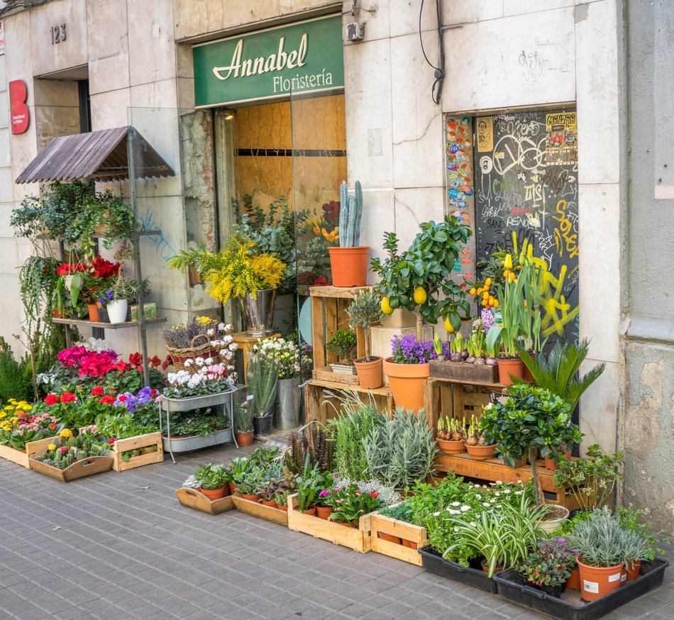 potted flowers near a flower shop in Barcelona