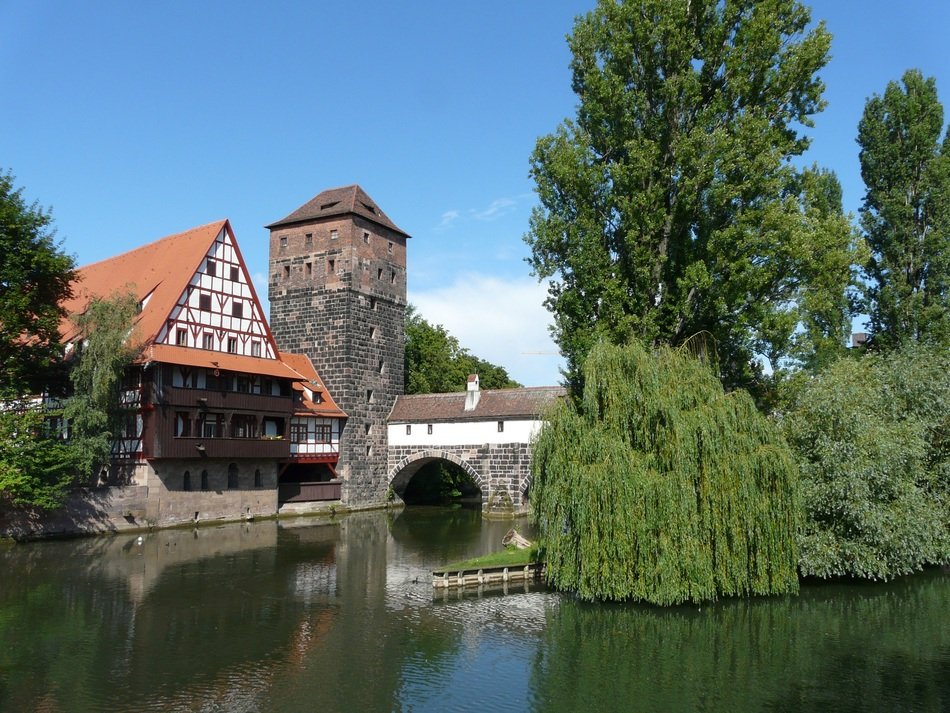 buildings near the river with green trees