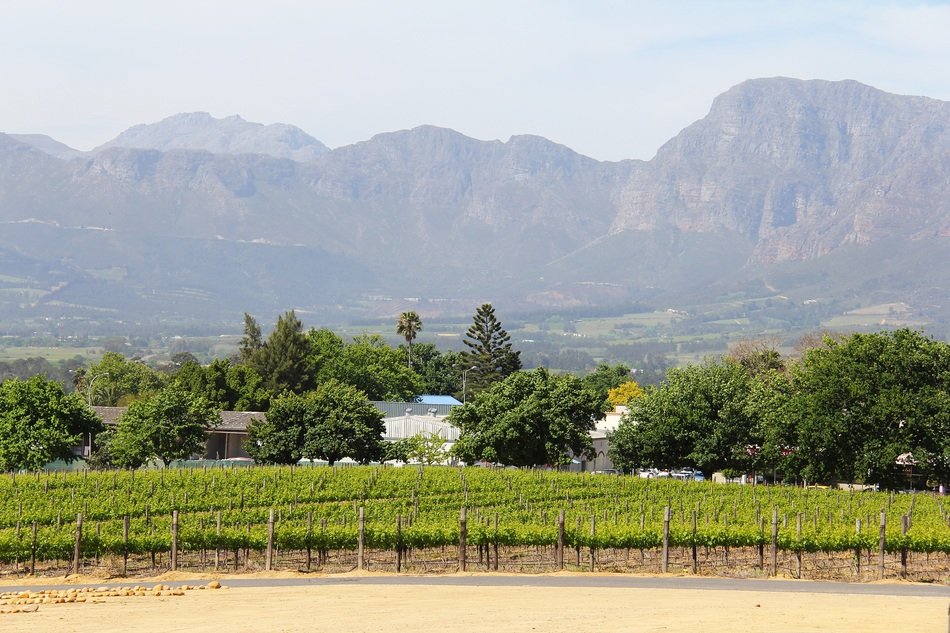 Vineyard the breathtaking views