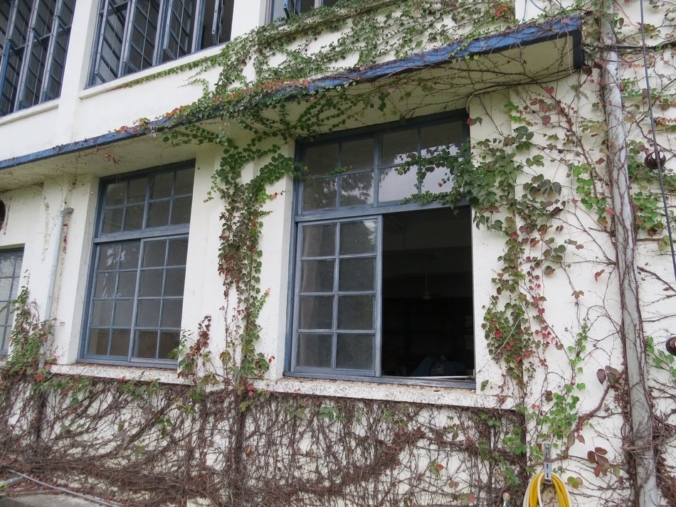 Housing Vine Factory
