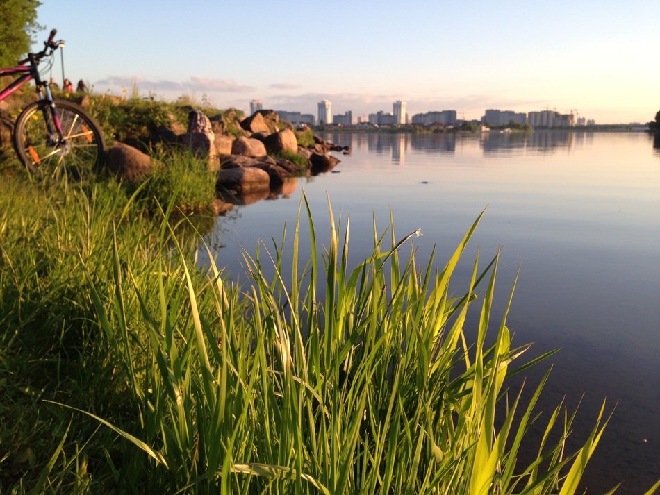 Landscape of summer nature in Belarus