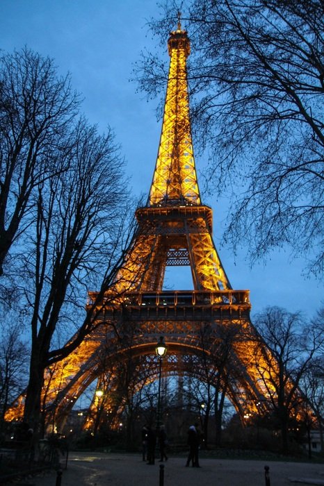 Eiffel Tower and Trees