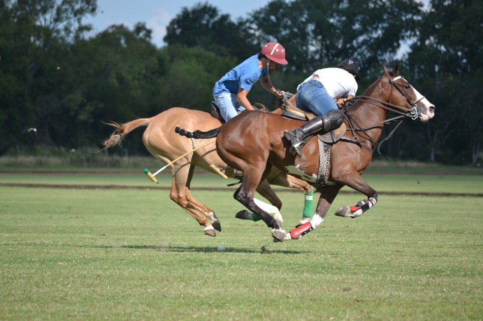 Horse riding Sports
