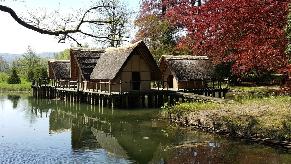 wooden small houses on the water in bally park
