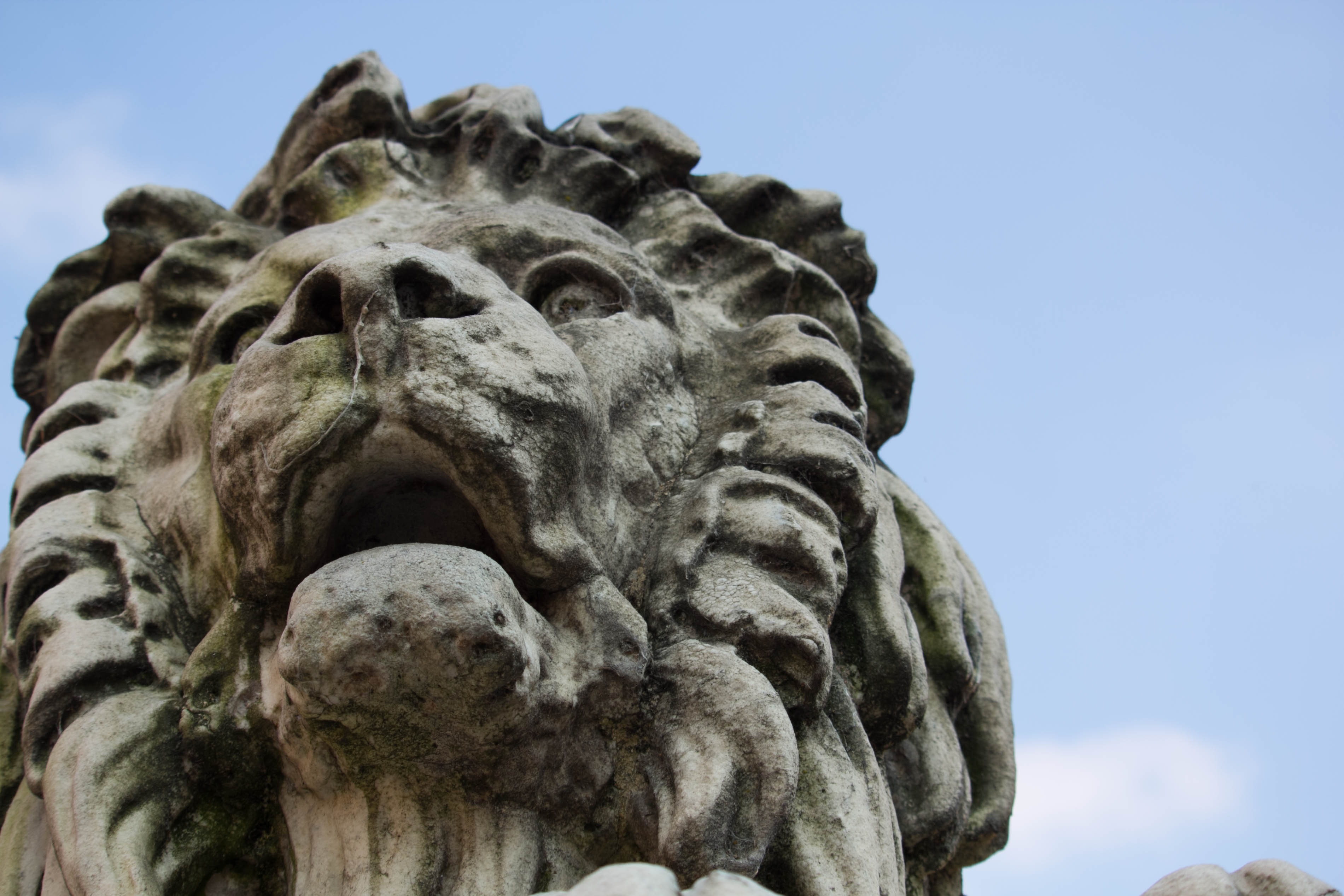 Каменный лев фото Stone Statue lion free image download