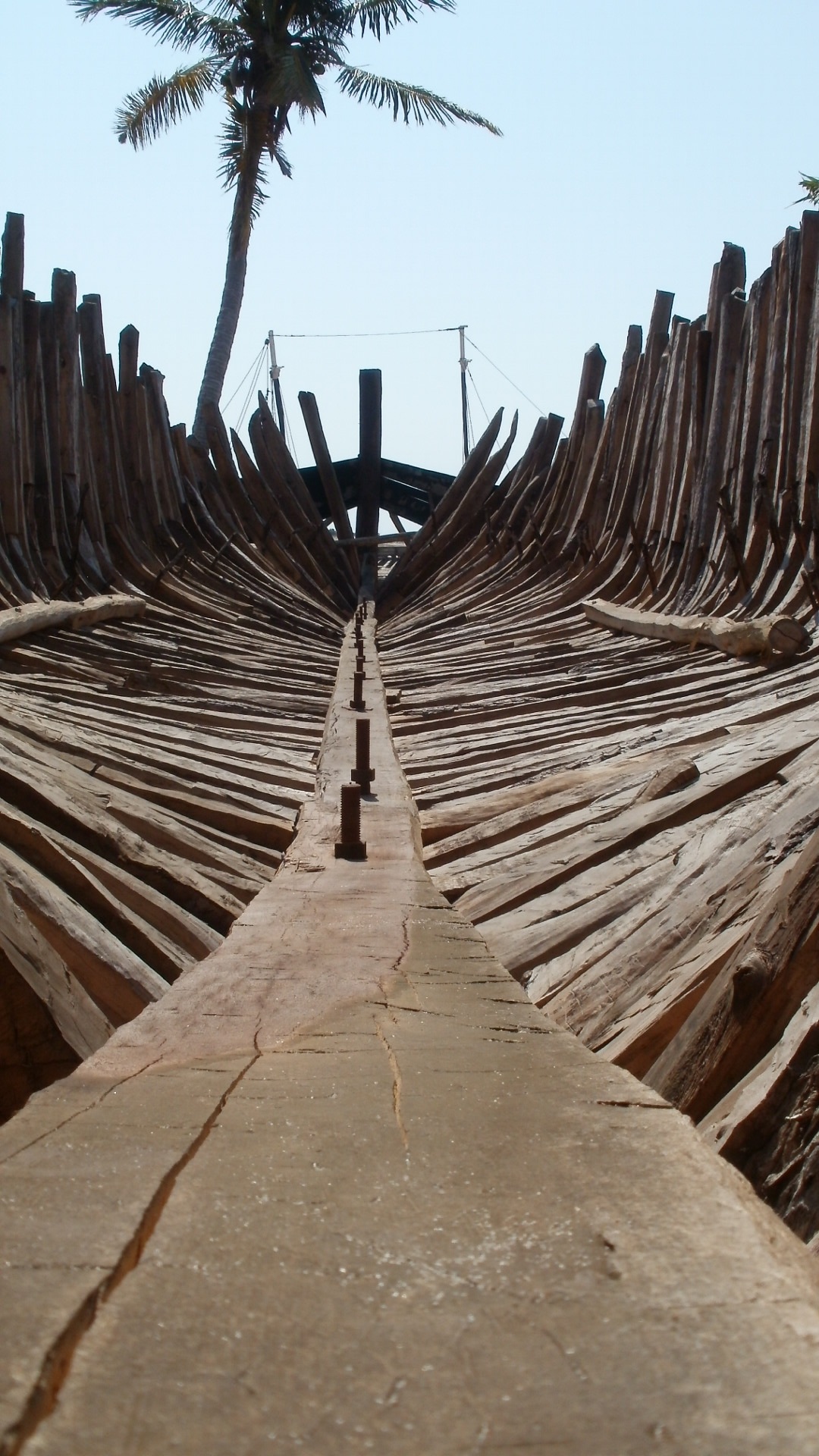 Dhow Building free image download