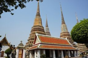 Wat Pho Temple,Thailand