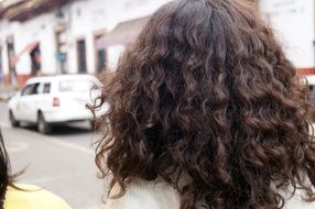 curly hair of a woman