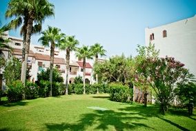 residence between palm trees