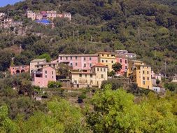 top view on colorful houses