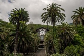 Mansion Of Abkhazia Gagra