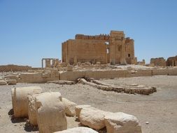 Palmyra Desert view