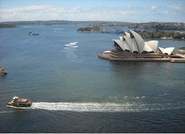 yachts sail around the Sydney Opera House