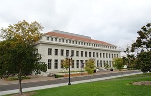 City University among green plants in California