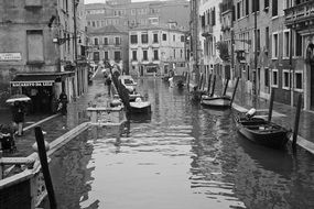 delightful Venice Water