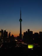 skyline at night in toronto