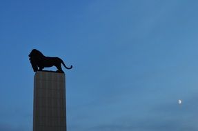 Lion statue is on a tower top
