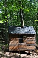 Wooden Hut in forest, denmark, skovsnogen artspace