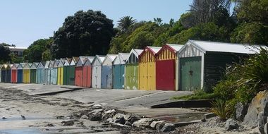 multicolored beach huts between trees