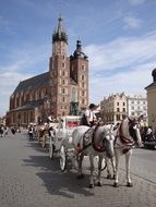 strikingly beautiful Poland Market