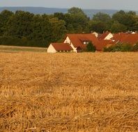 farm in a field in upper franconia