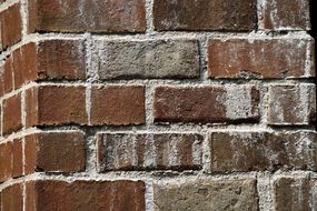 corner of the brick wall