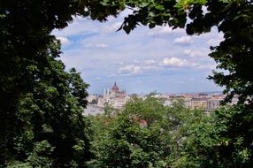 panoramic view of the city behind the green crowns of trees
