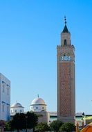 Minaret amd Domes of El-Ahmadi mosque at sky, tunis, la marsa