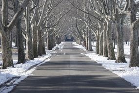 Flushing Meadow Park