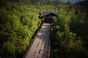 top view of banquet scene amidst green nature