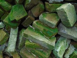 pile of green mossy bricks