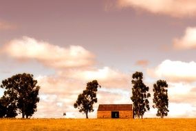 farm countryside in autumn