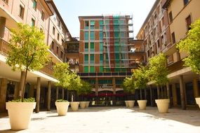 townhouse yard with potted trees, Italy, Pisa
