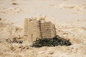 Picture of Sand Castle on a beach