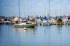 boats on the calm water in the port