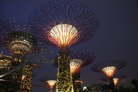 Singapore Garden
