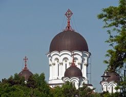 domes of the orthodox church between trees in romania