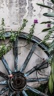 wooden wheel near an old building in cyprus