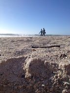 elderly couple on the beach